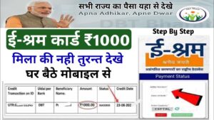 E Shram Card 1000 Payments Check