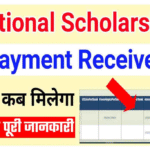 NSP Scholarship