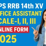 IBPS RRB 14th Recruitment 2025 RRB 14th XV Office Assistant, Scale-I, II, III Online Form 2025